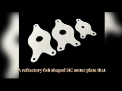 टेबलवेयर सिंटरिंग के लिए रेफ्रेक्टरी सिलिकॉन कार्बाइड फिश सेटर प्लेट